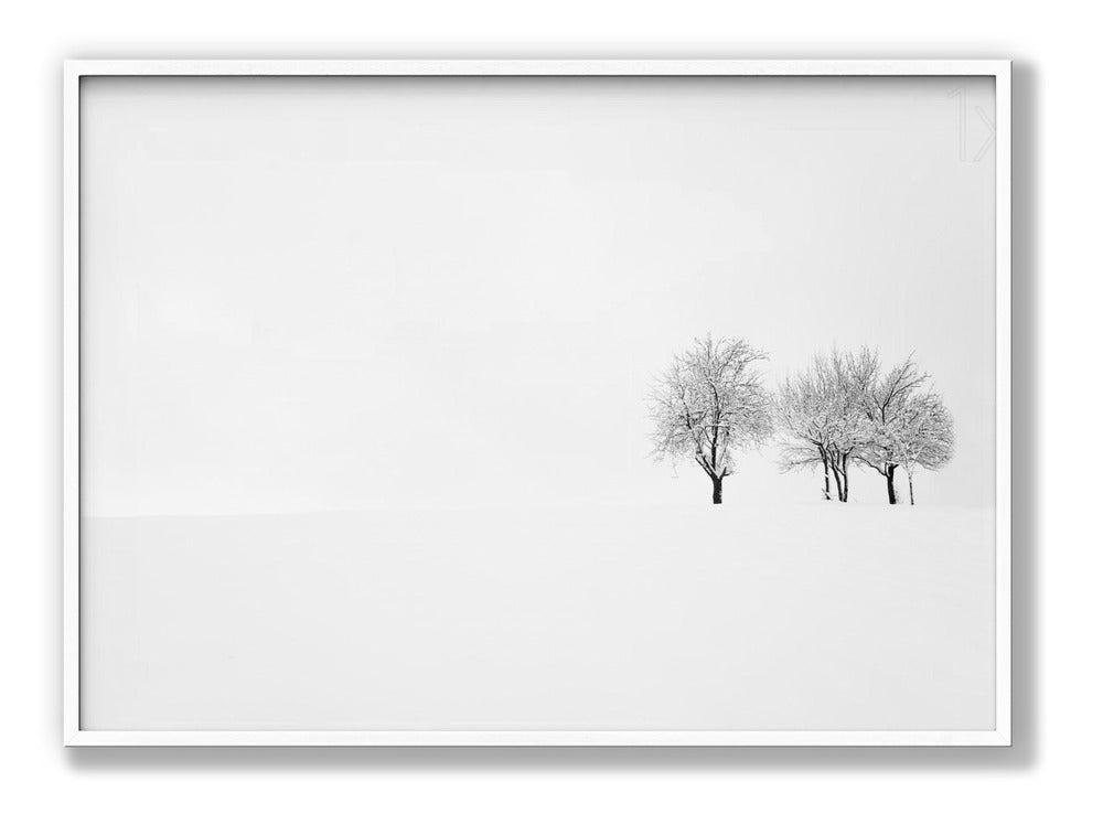 Tree and Silence Poster