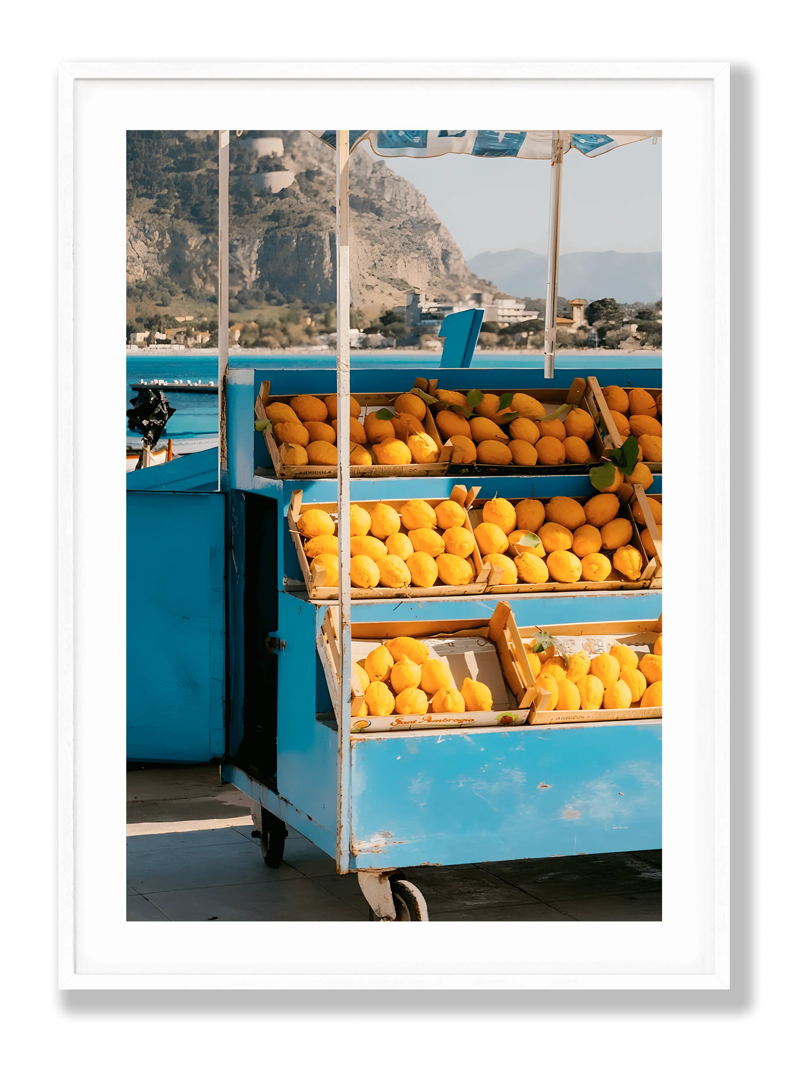Street Fruits Poster