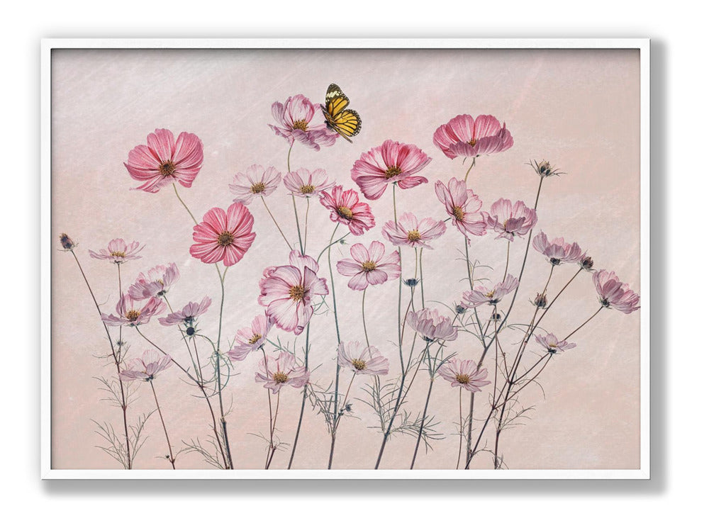 Cosmos and Butterfly