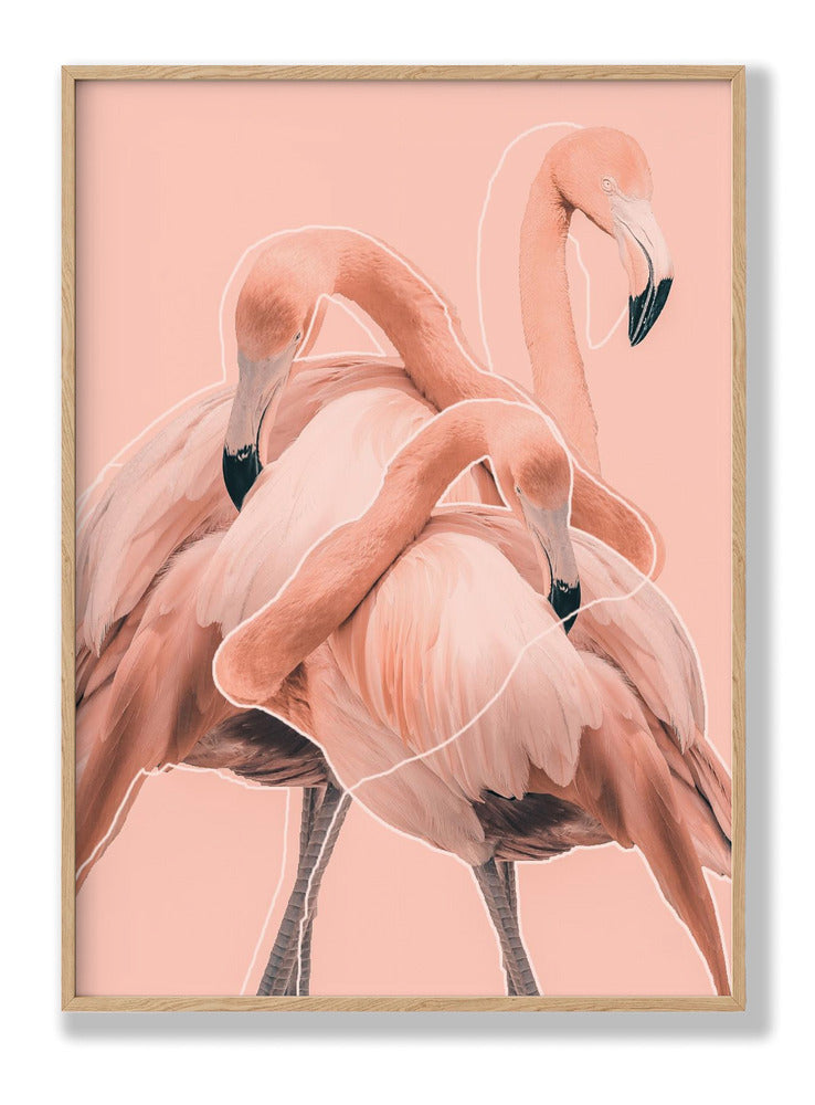 Flamingos nr. 1