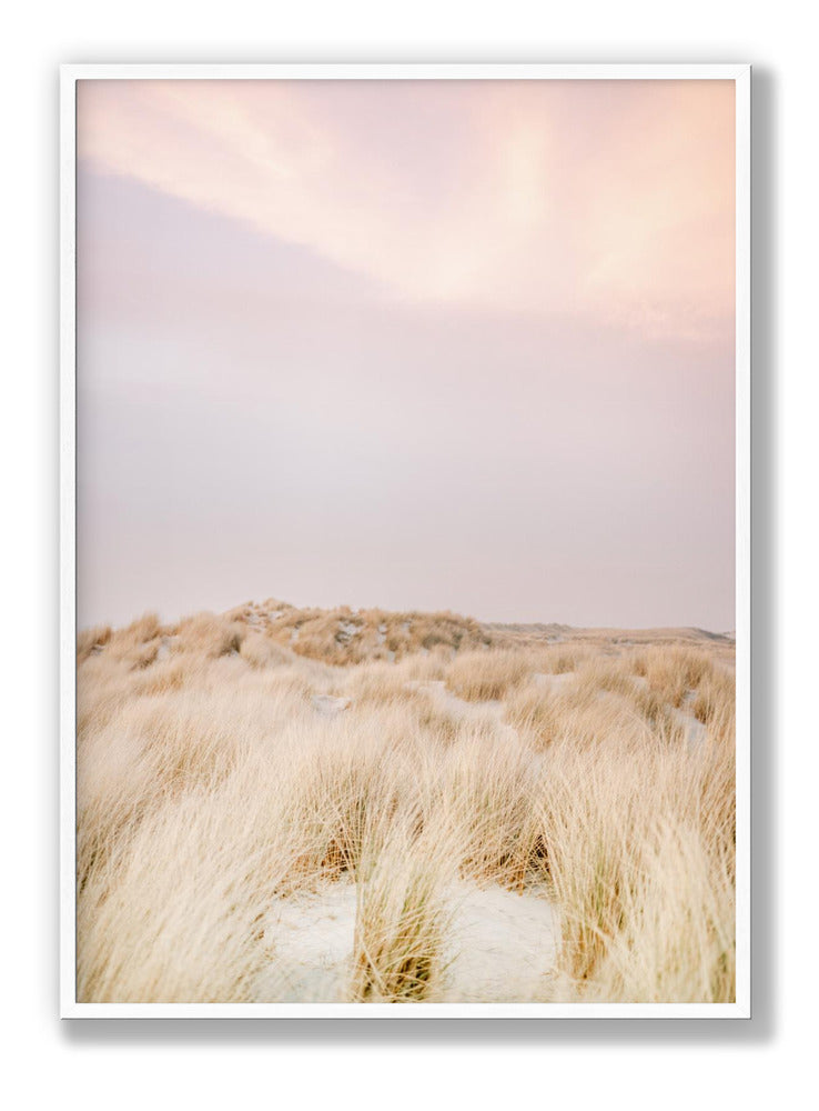 Ameland Dunes 2