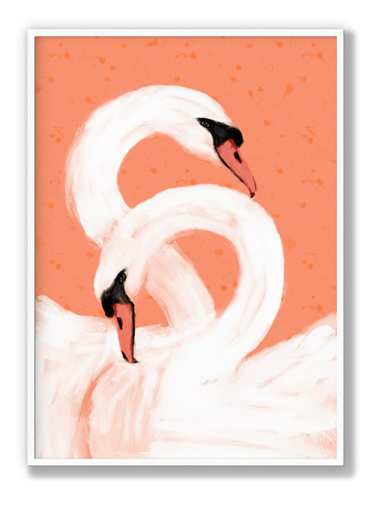 Swans