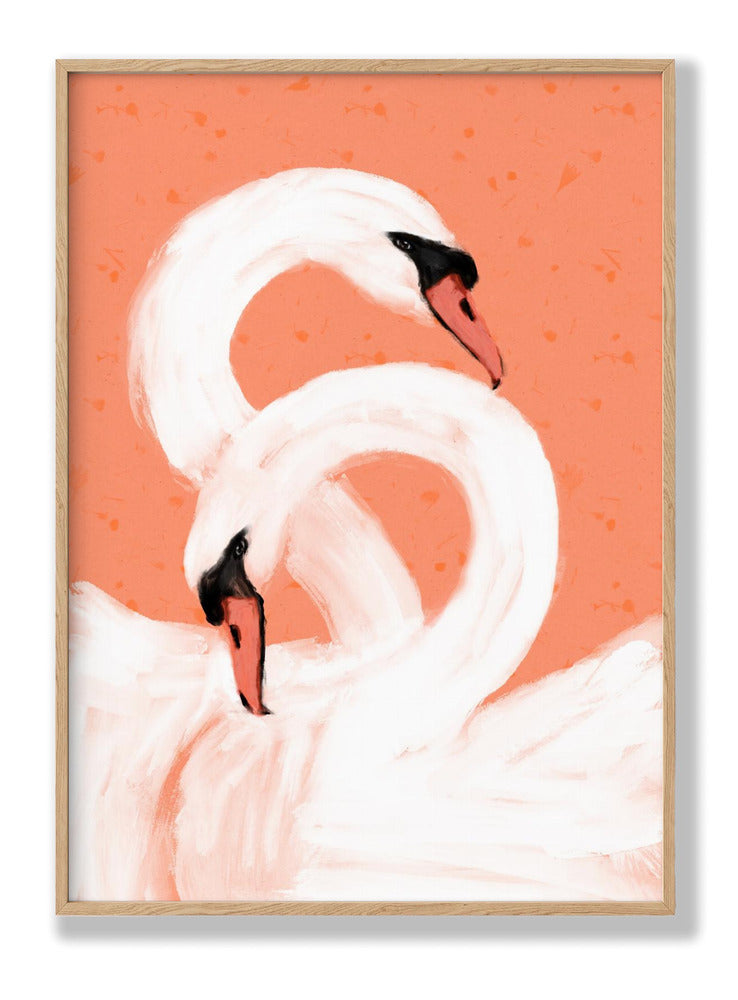 Swans