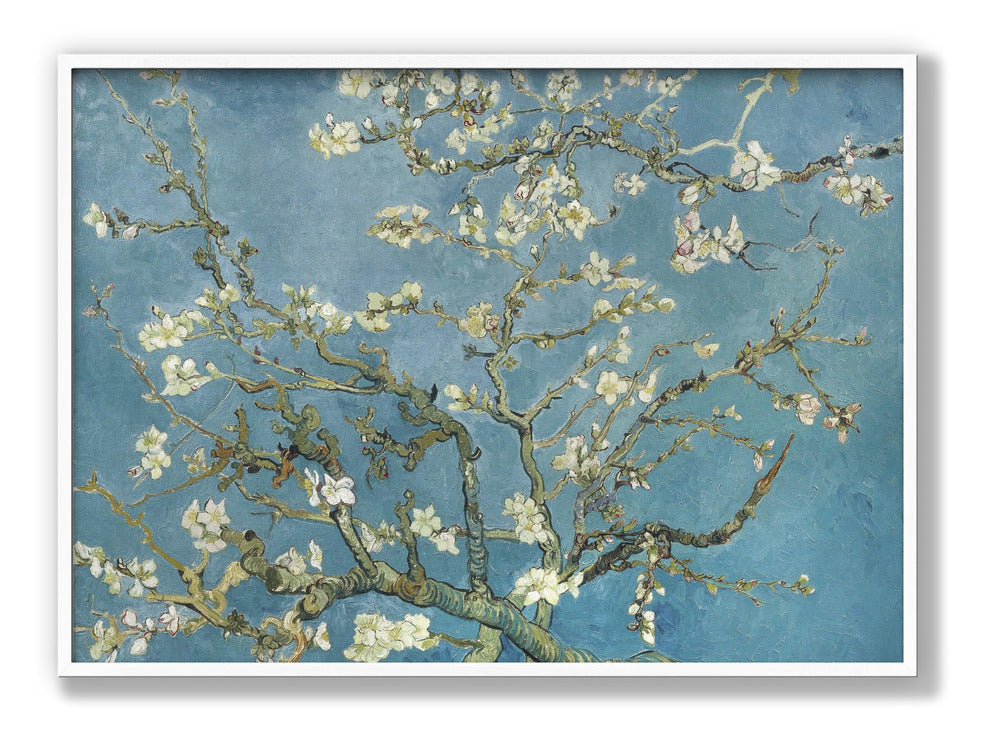 Vincent Van Gogh's Almond Blossom 1890