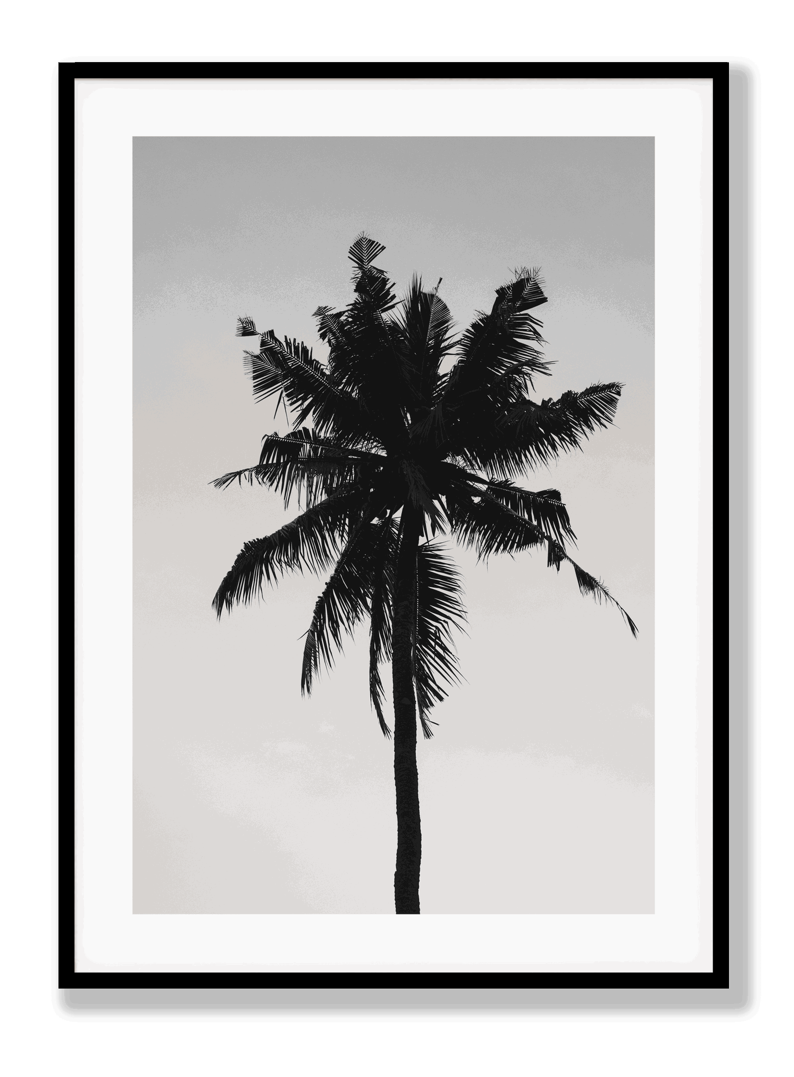 Beach Palm plakat