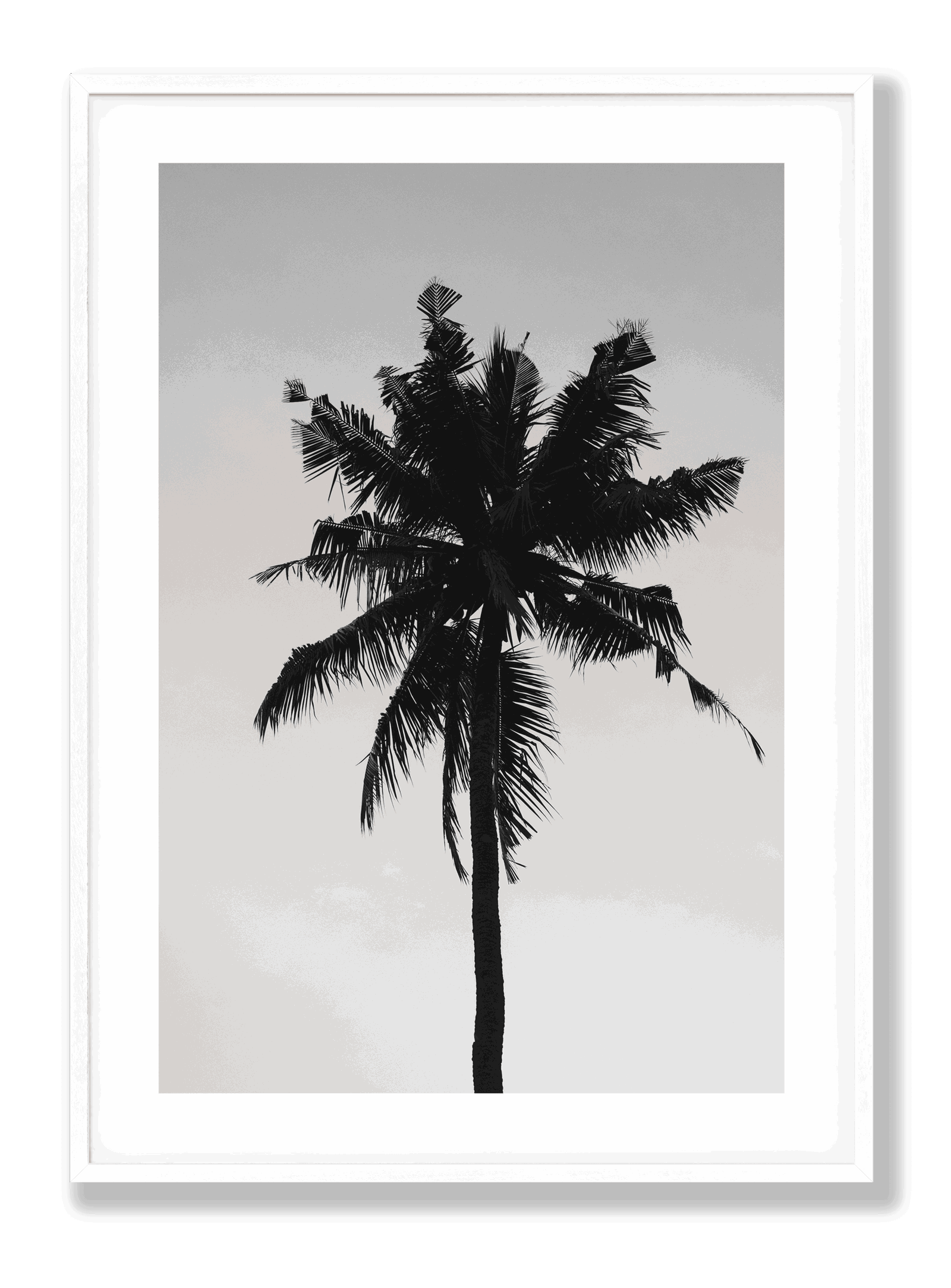 Beach Palm plakat