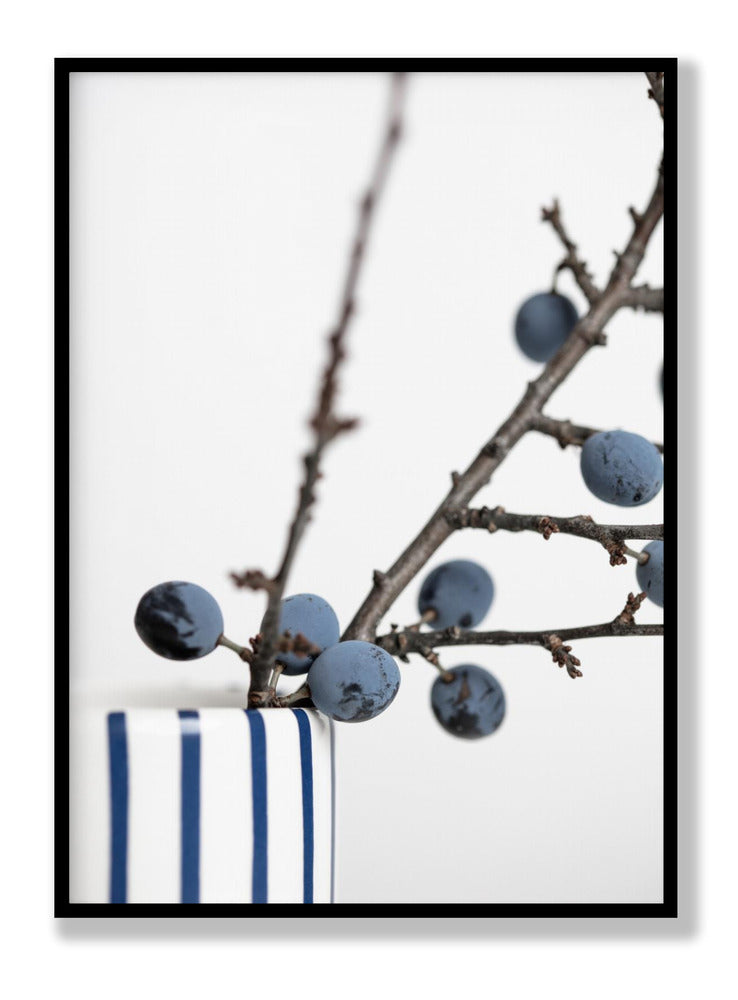 Berries Blue plakat