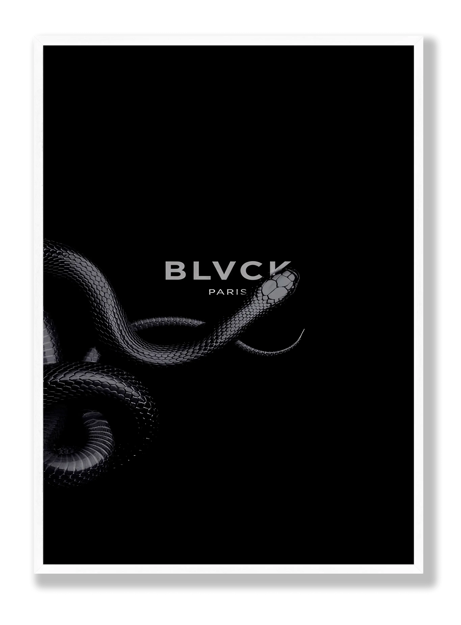 Black Snake plakat