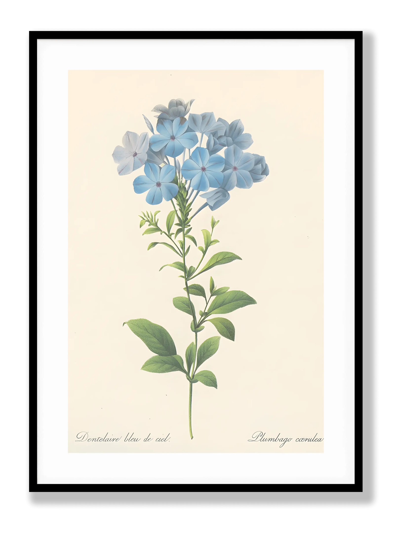 Blue Flower Botanical plakat