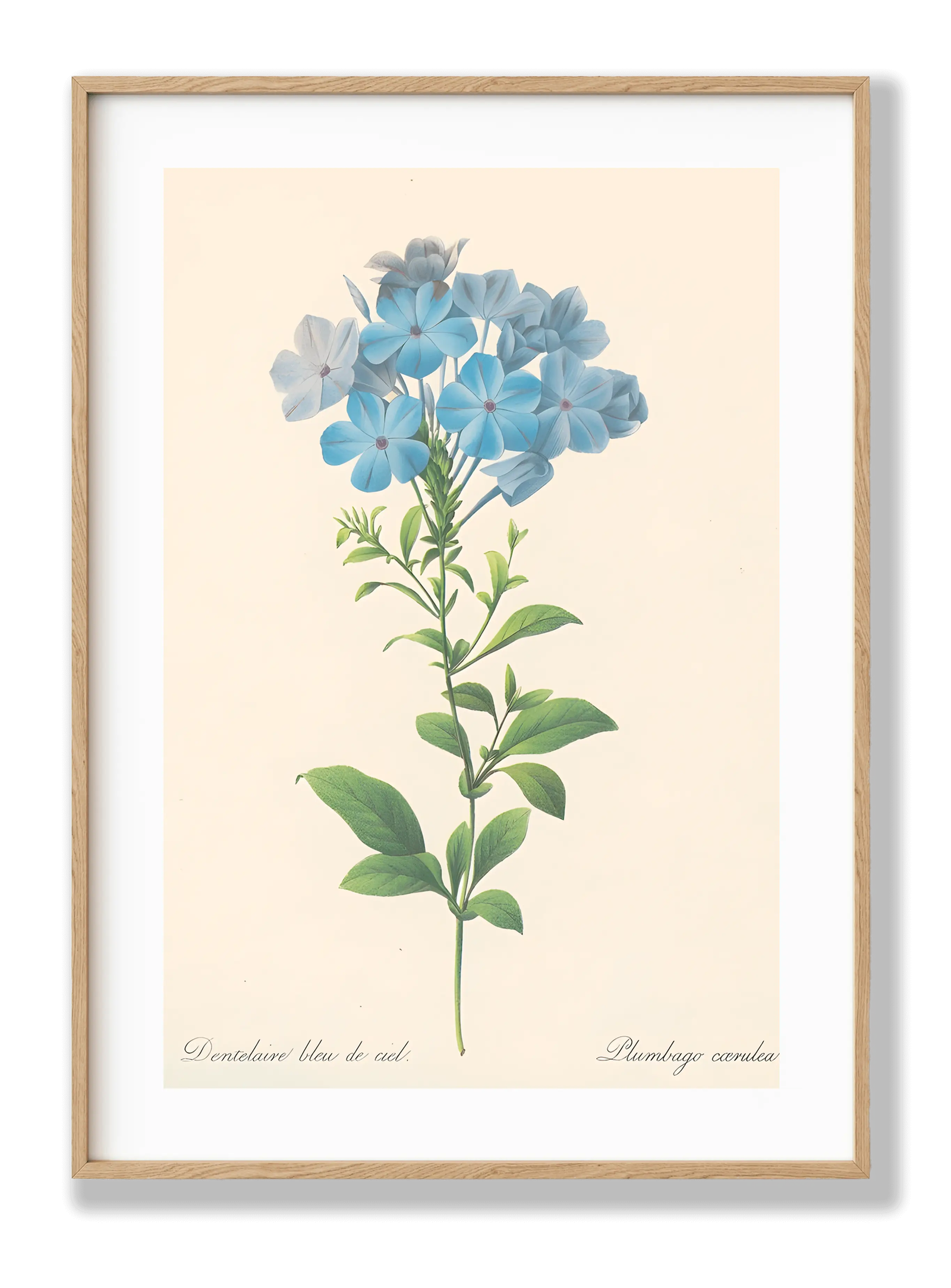 Blue Flower Botanical plakat