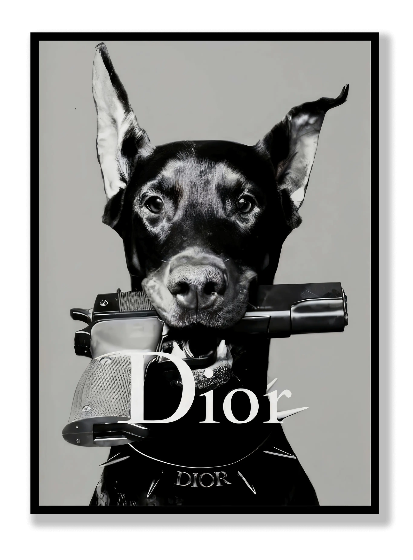 Dior Dog plakat