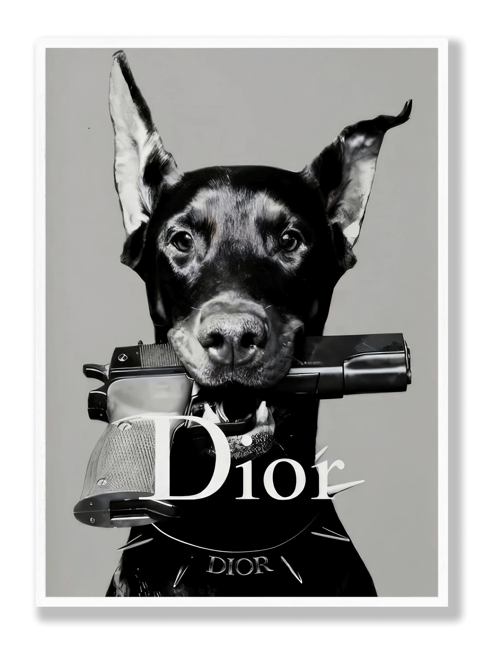 Dior Dog plakat