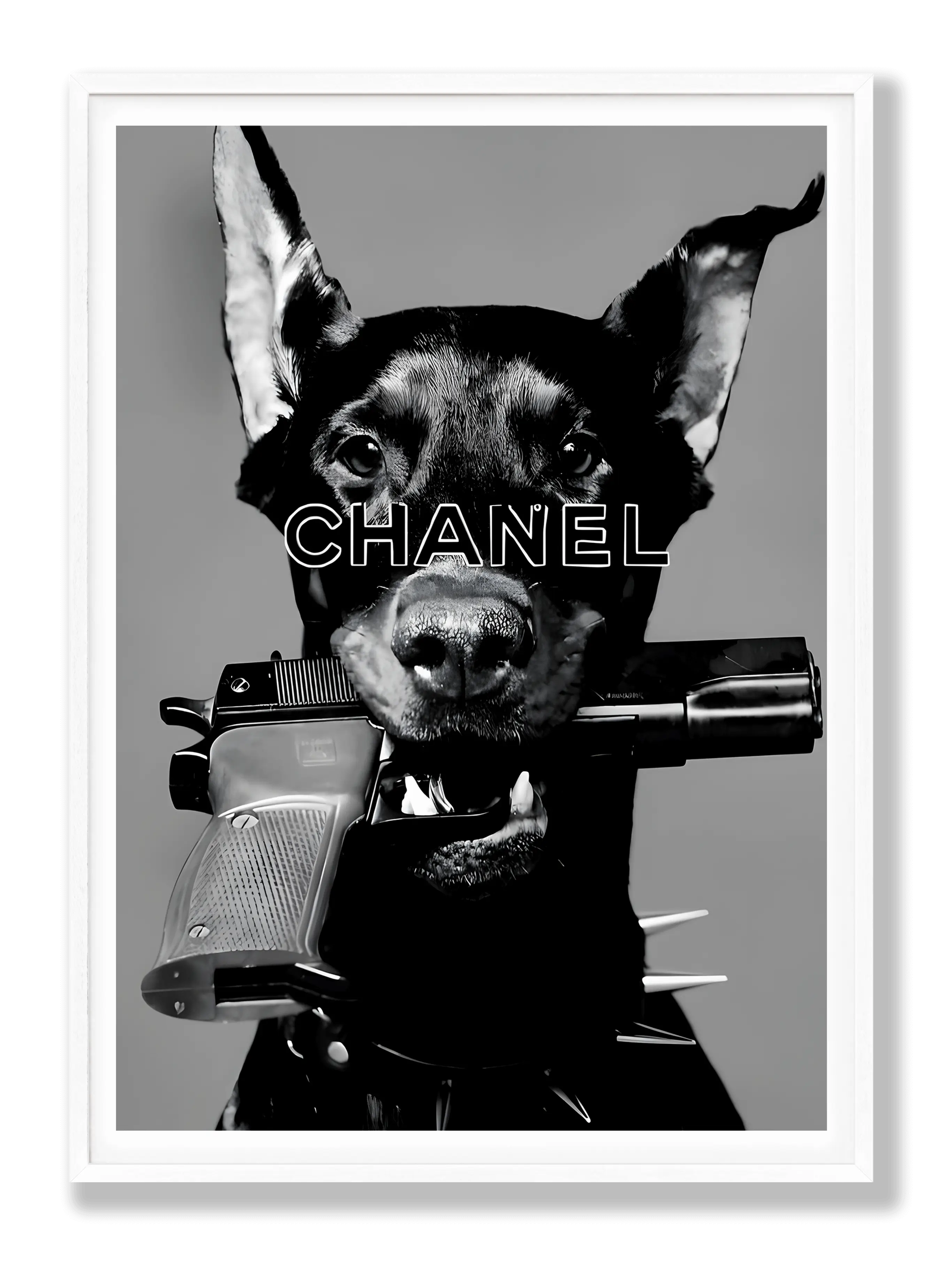 Dobermann x Chanel plakat