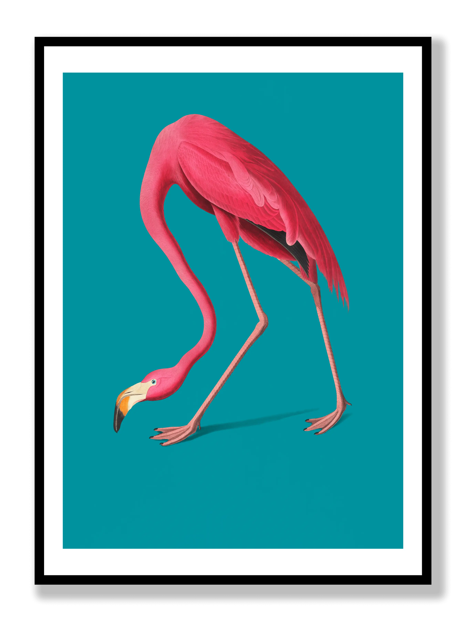 Flamingo plakat