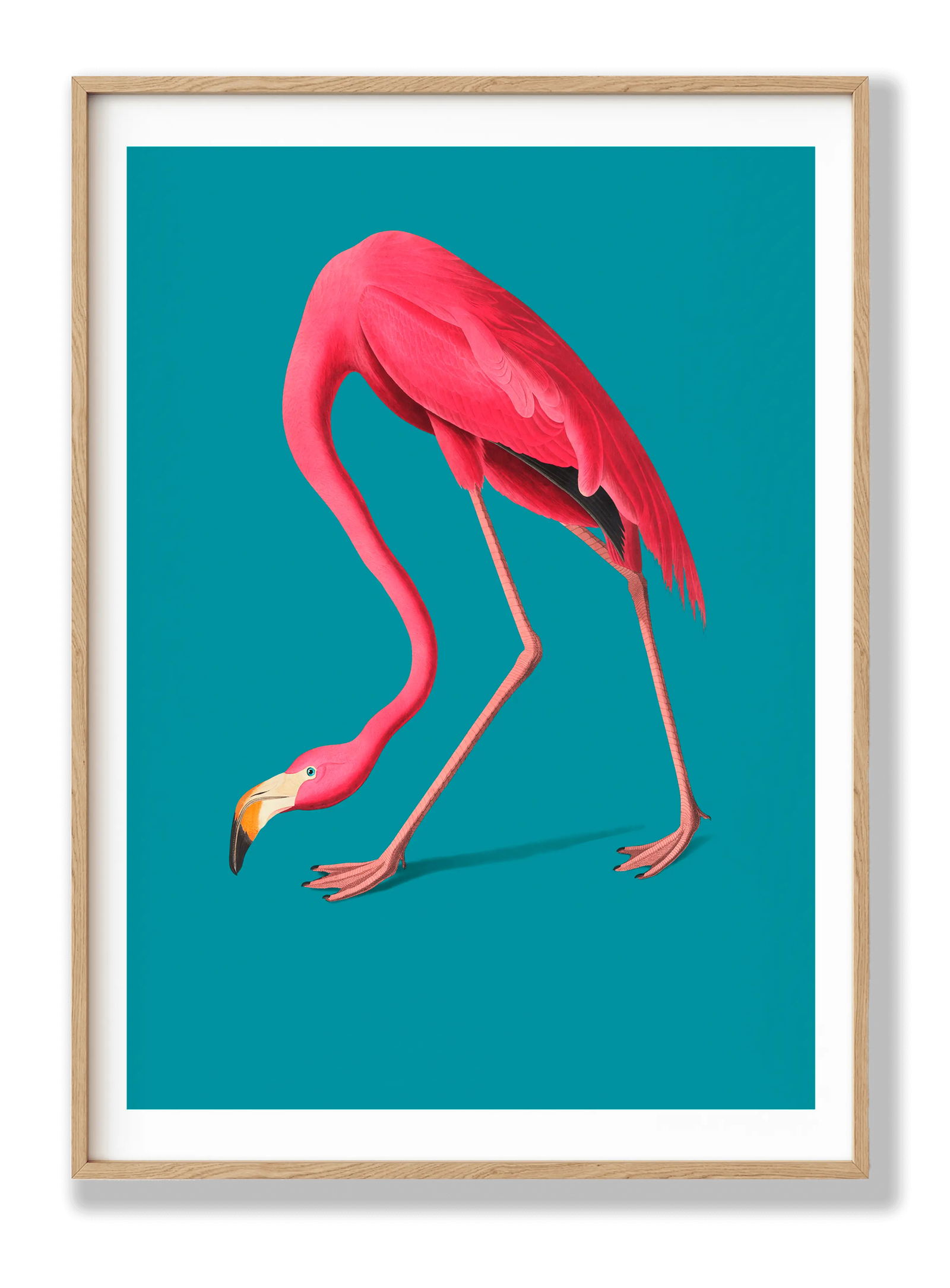 Flamingo plakat