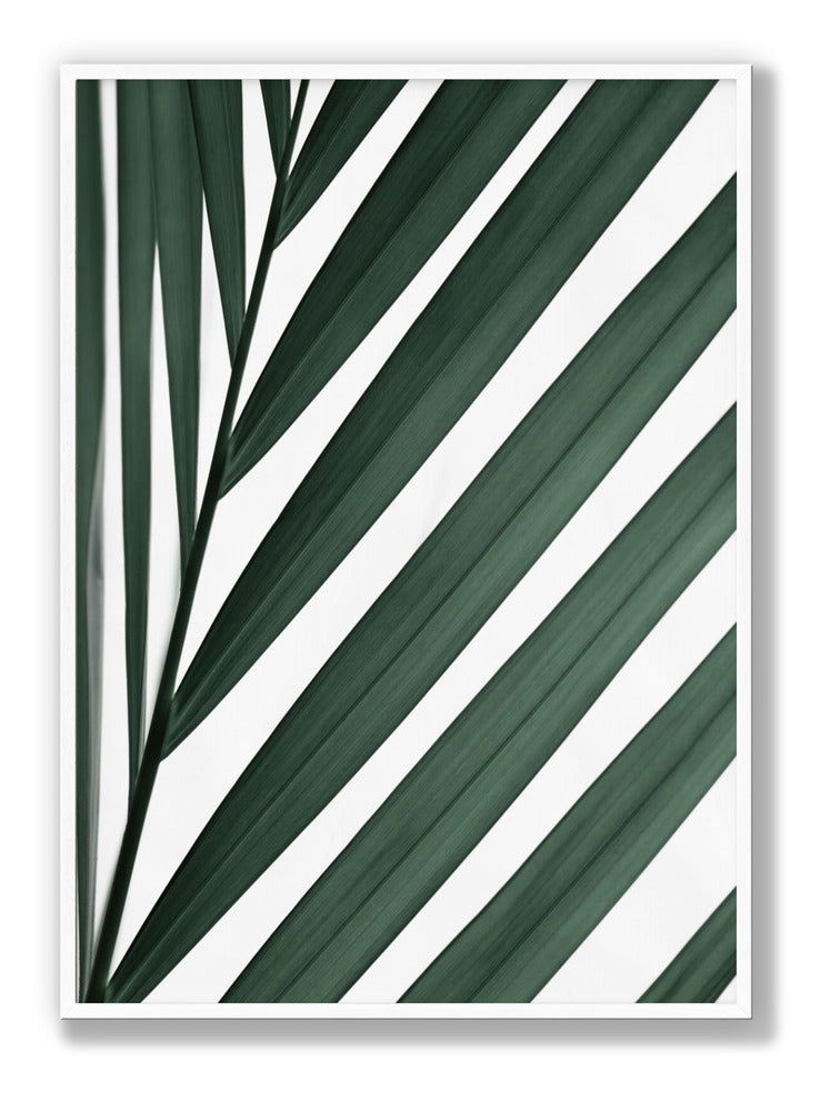 Graphic palm leaf 3 plakat