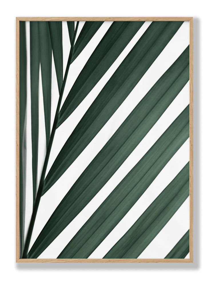 Graphic palm leaf 3 plakat