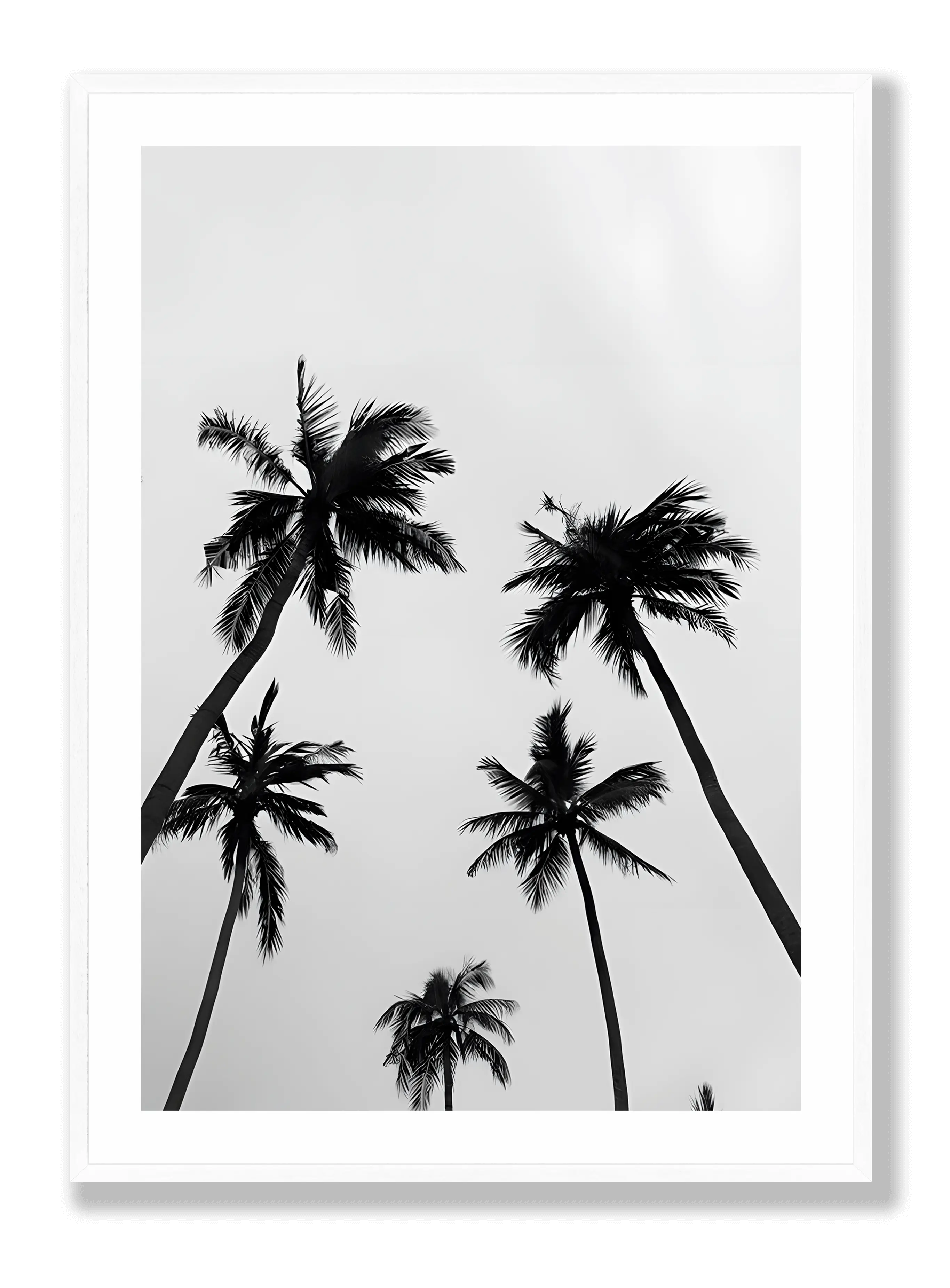 Palm Trees Poster