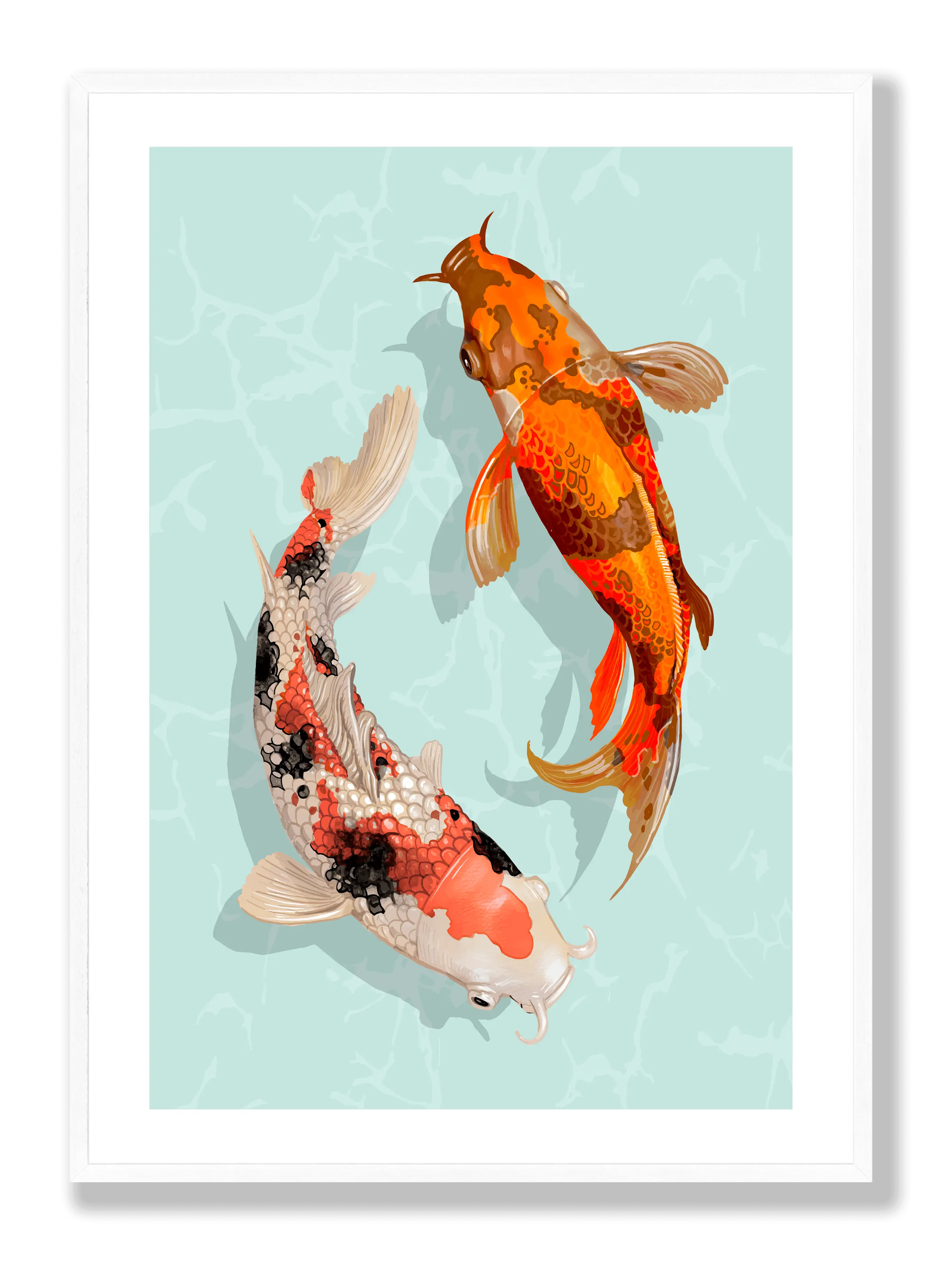 Koi plakat