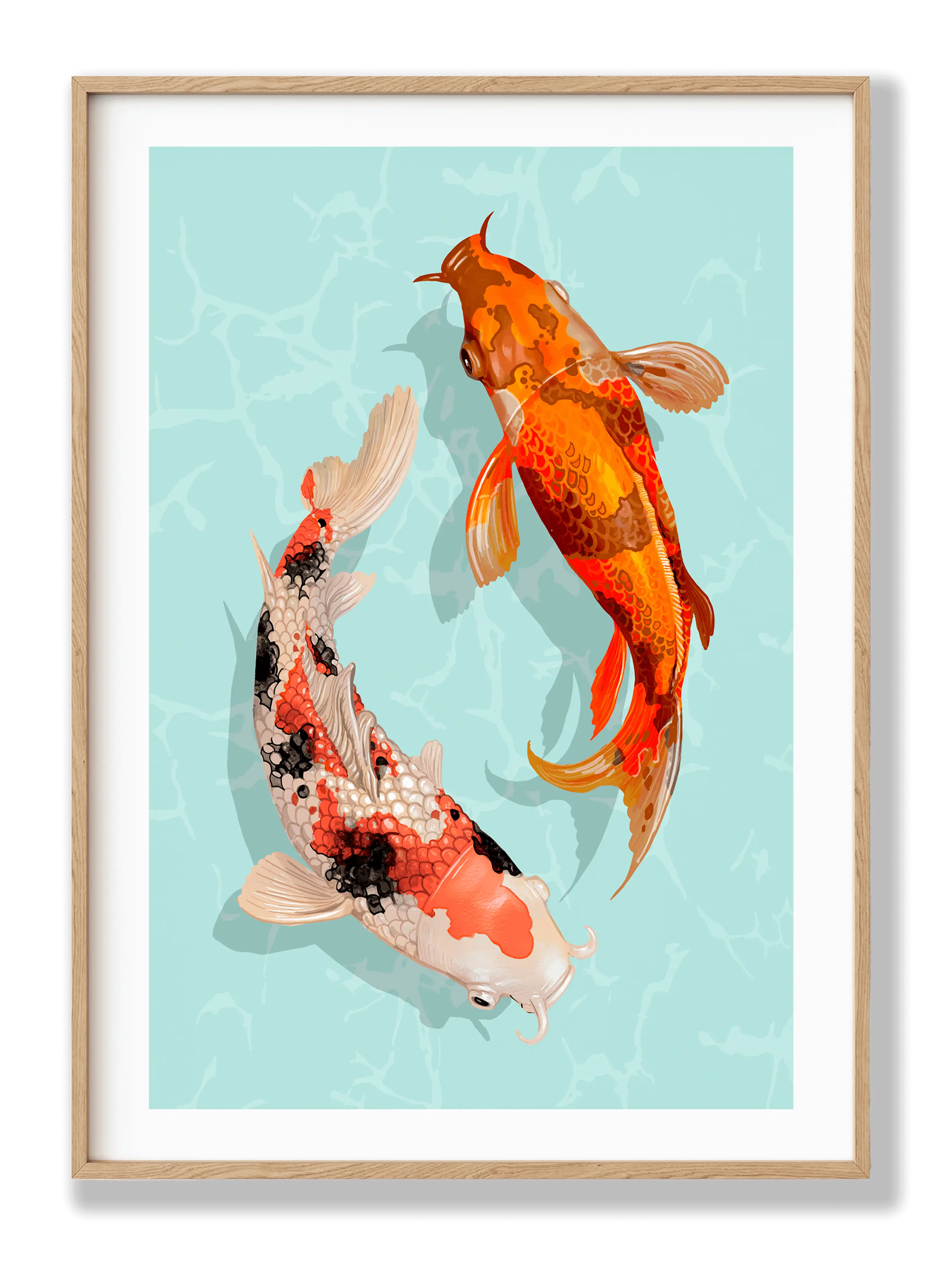 Koi plakat