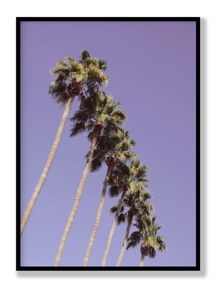 Las Vegas Palm Trees plakat