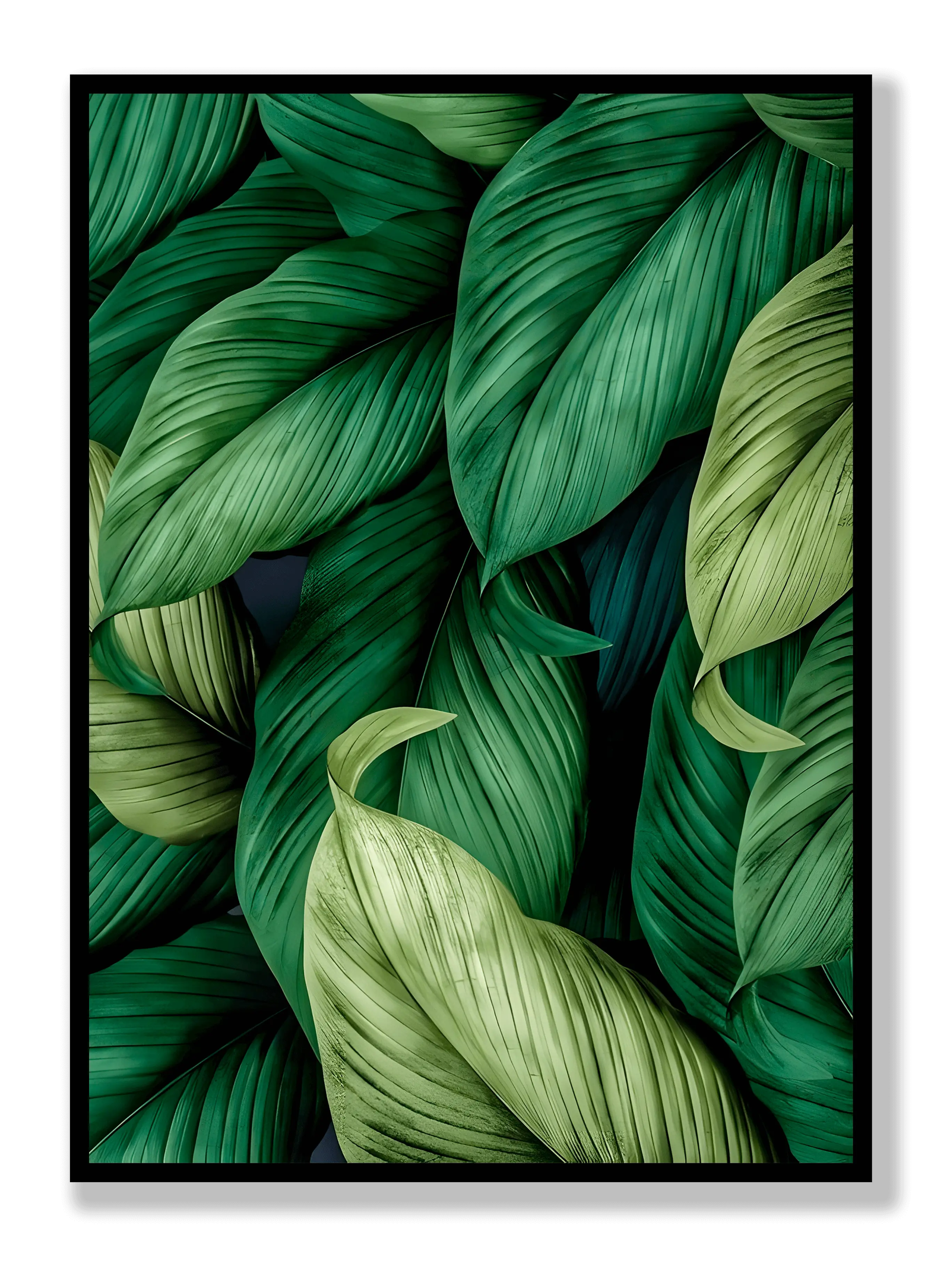 Leaves plakat