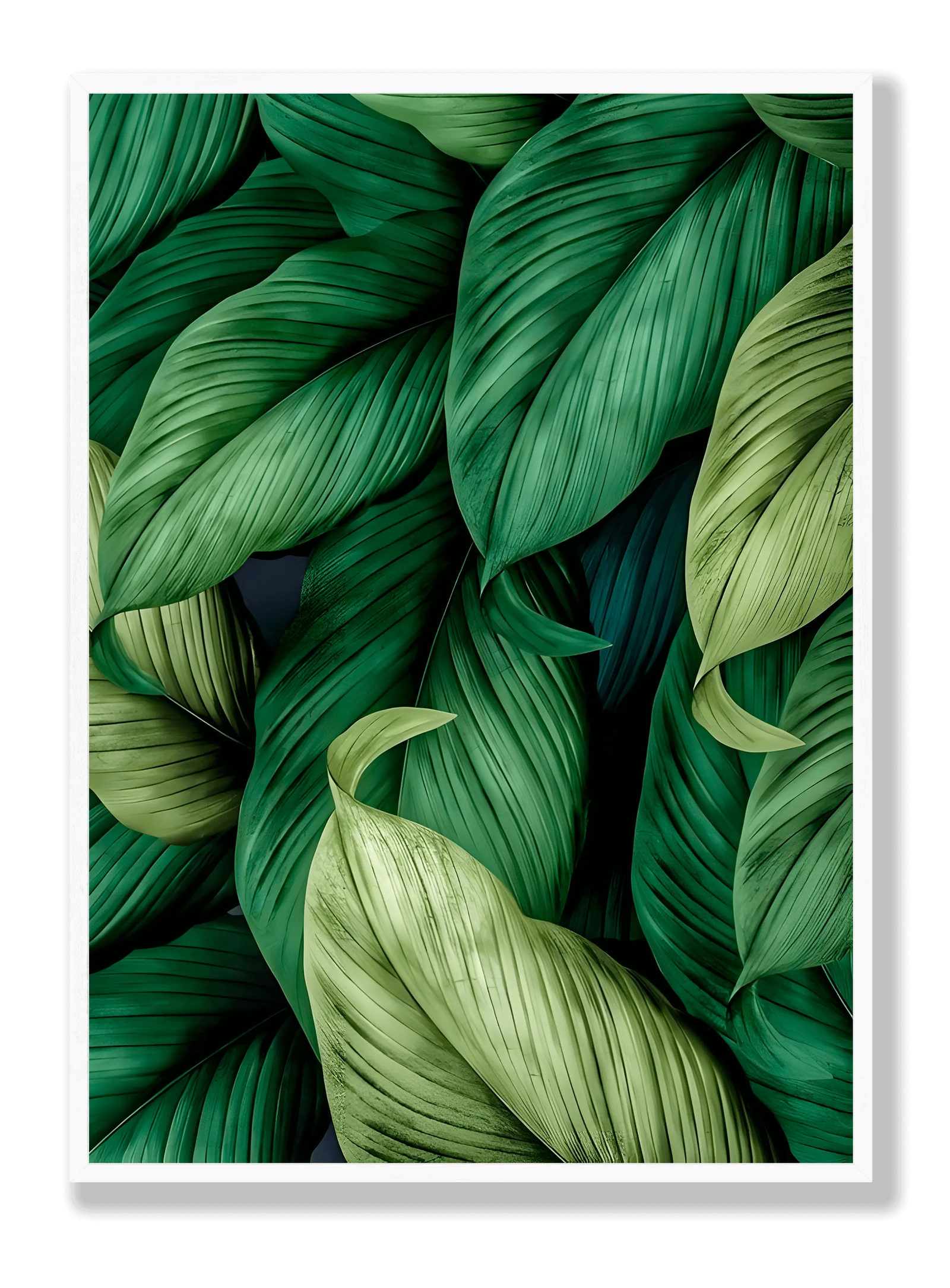 Leaves plakat