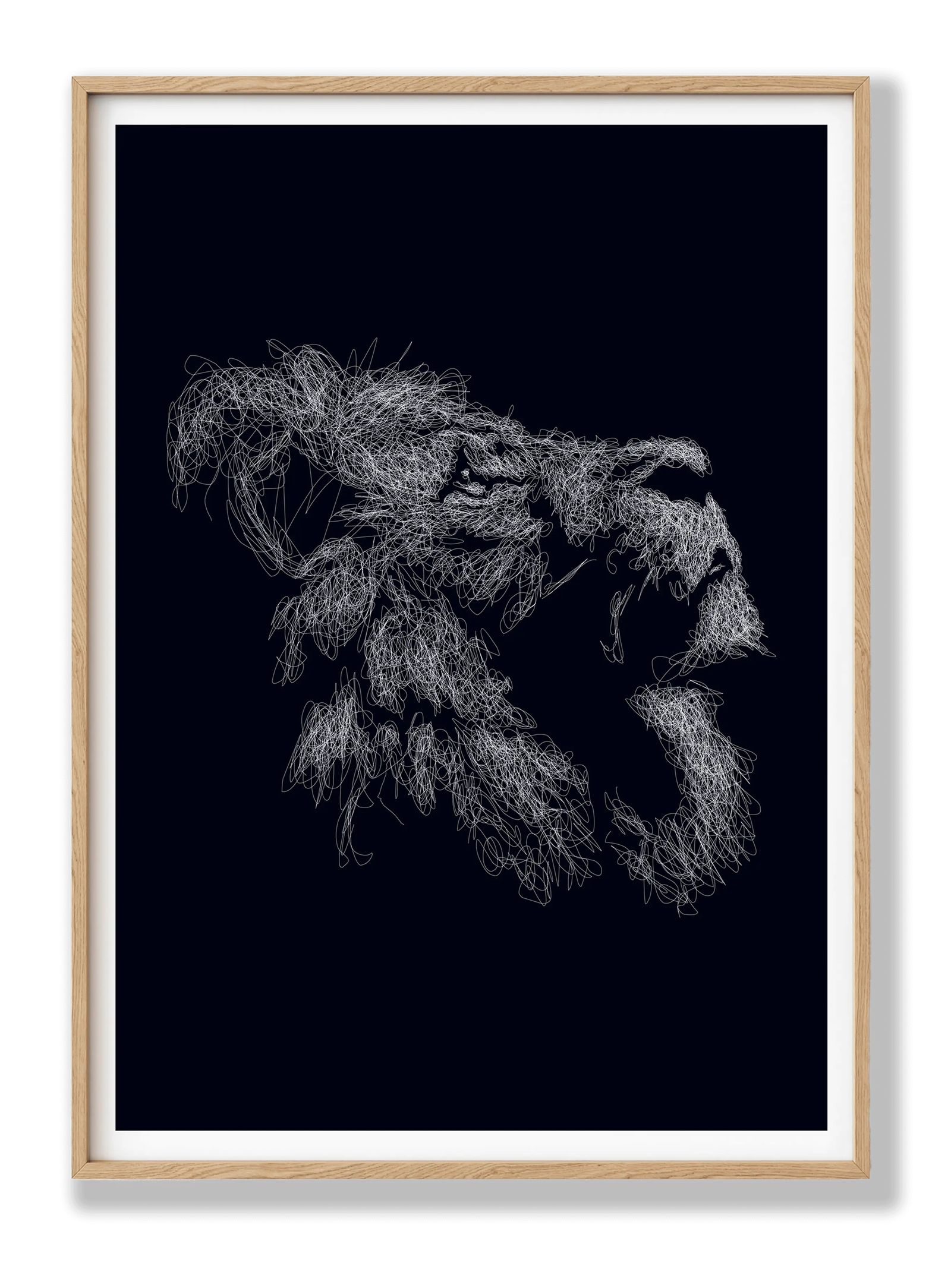 Lion Drawing plakat