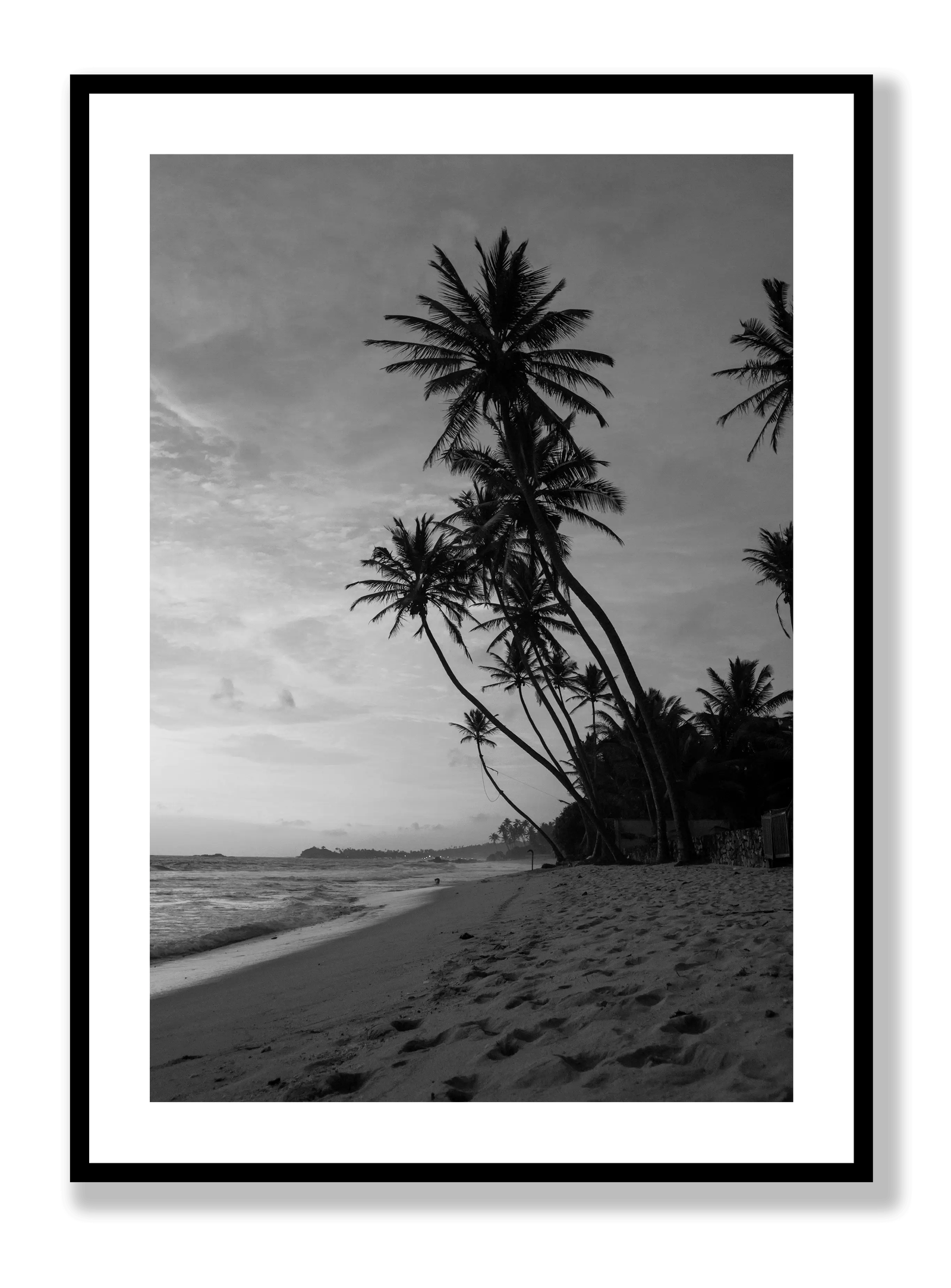 Palm Trees at Beach plakat