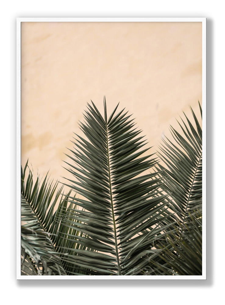 Palm leaves and wall 1 plakat