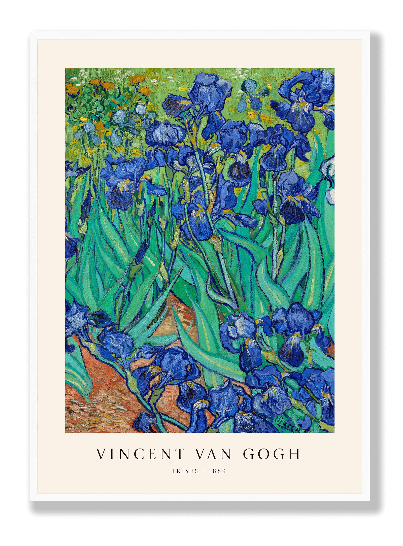 Van Gogh - Irises plakat