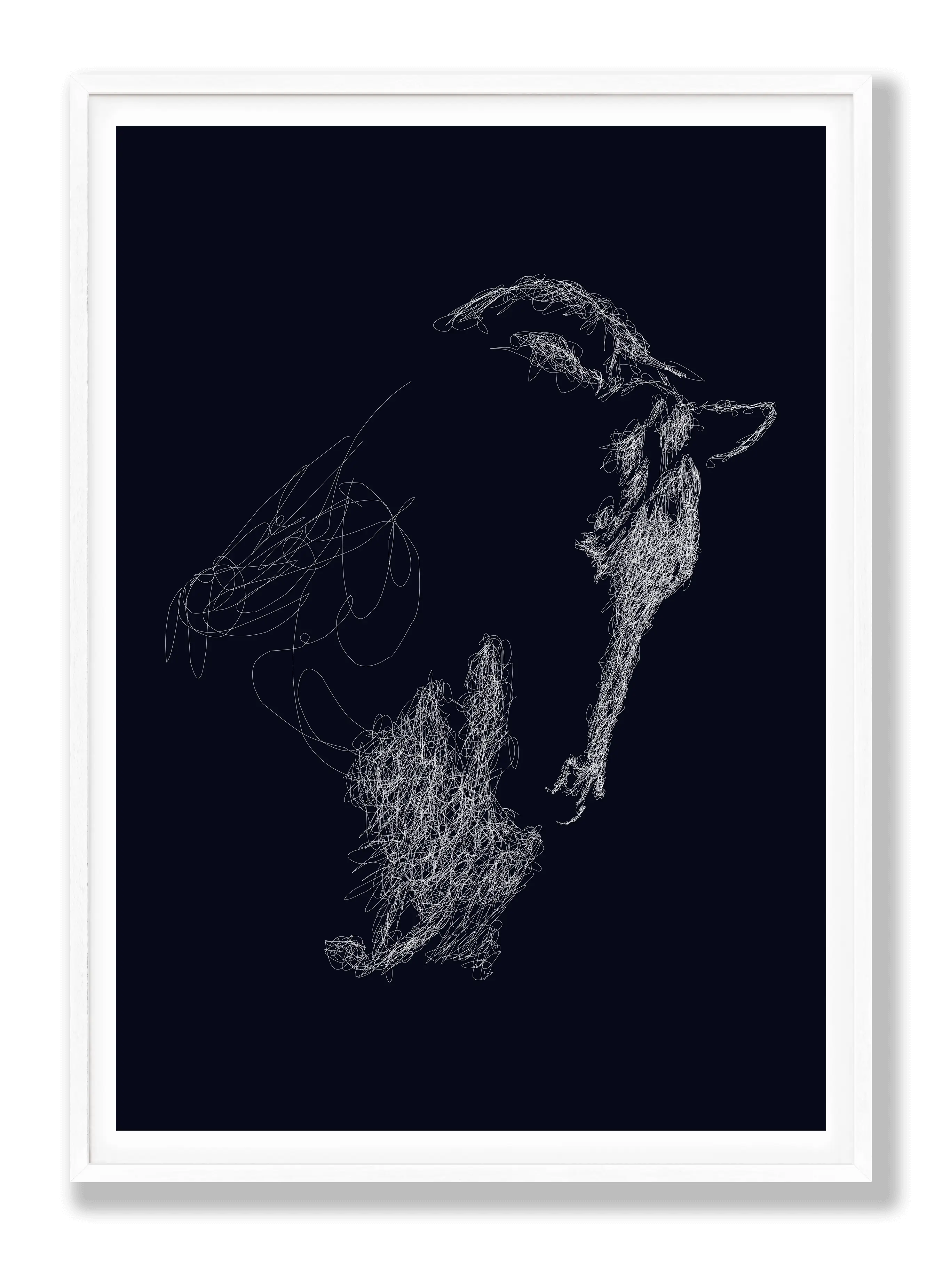 Horse Drawing Poster