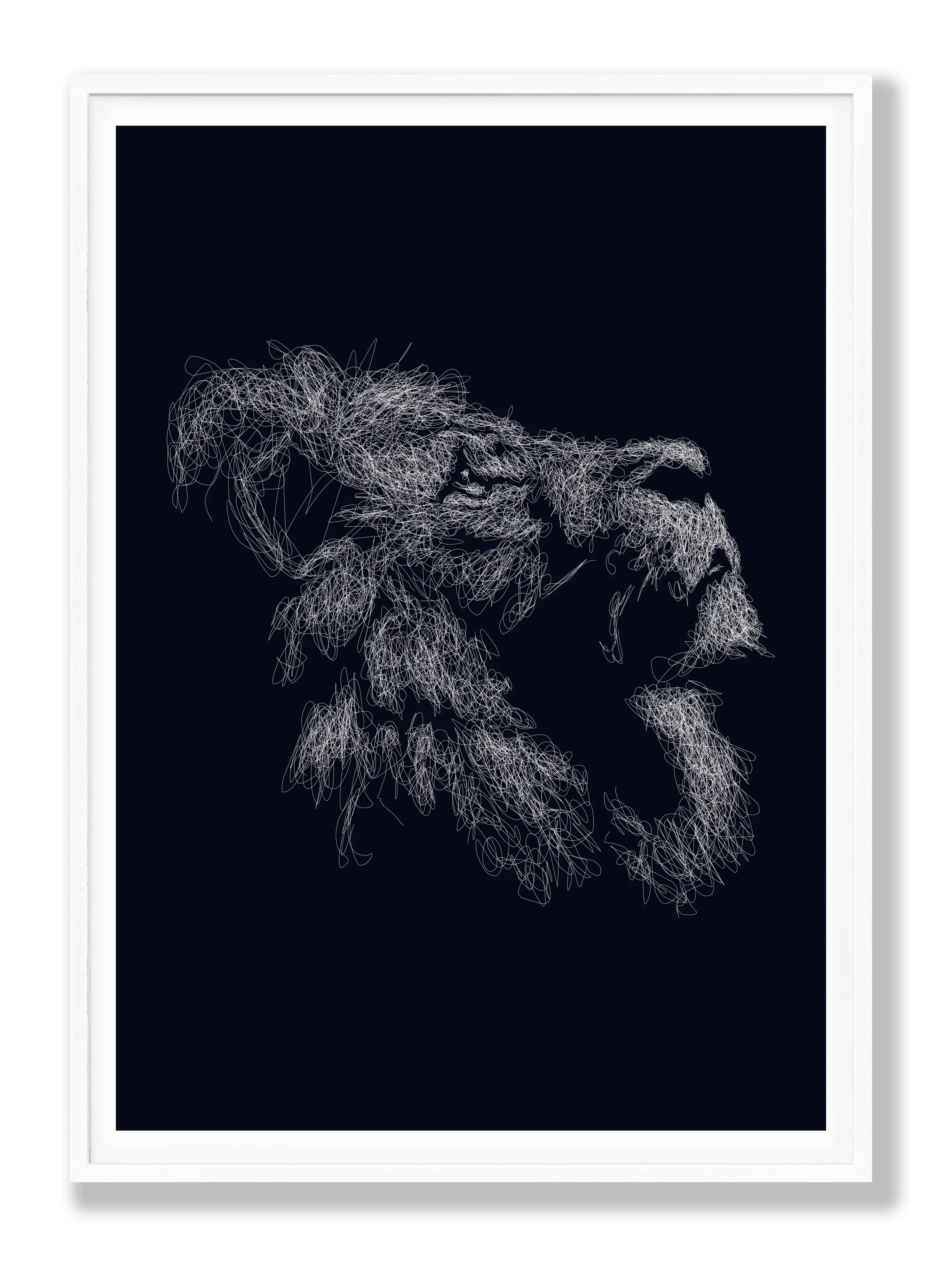 Lion Drawing Poster