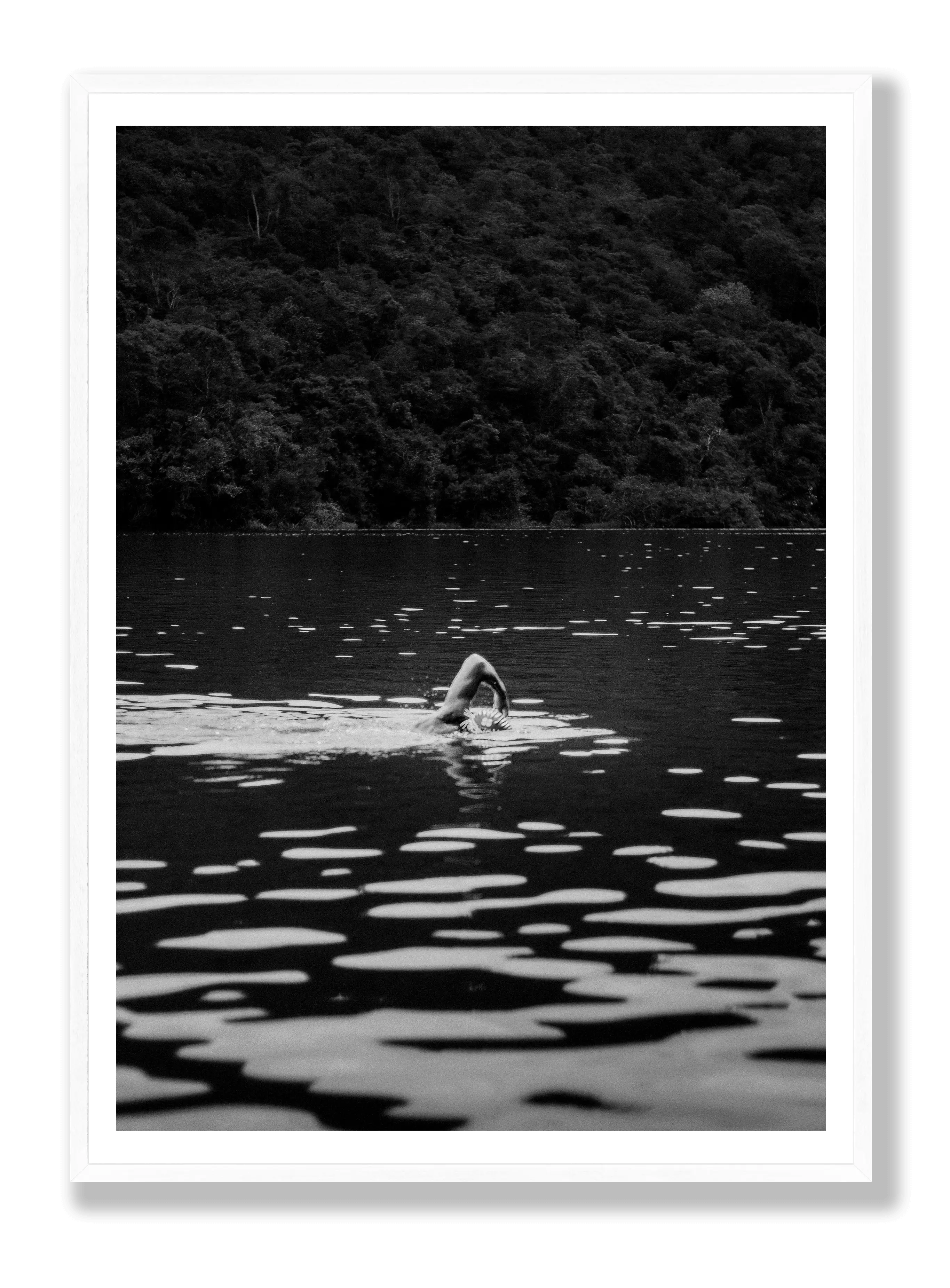 Swimming In The Wild Poster