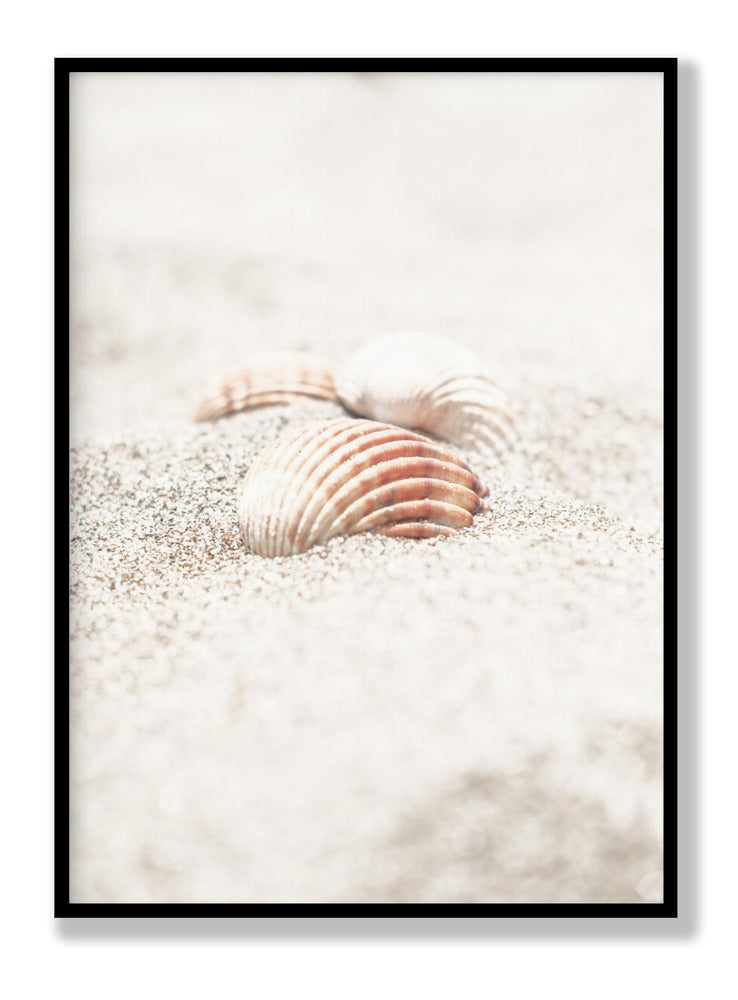 Beach_013