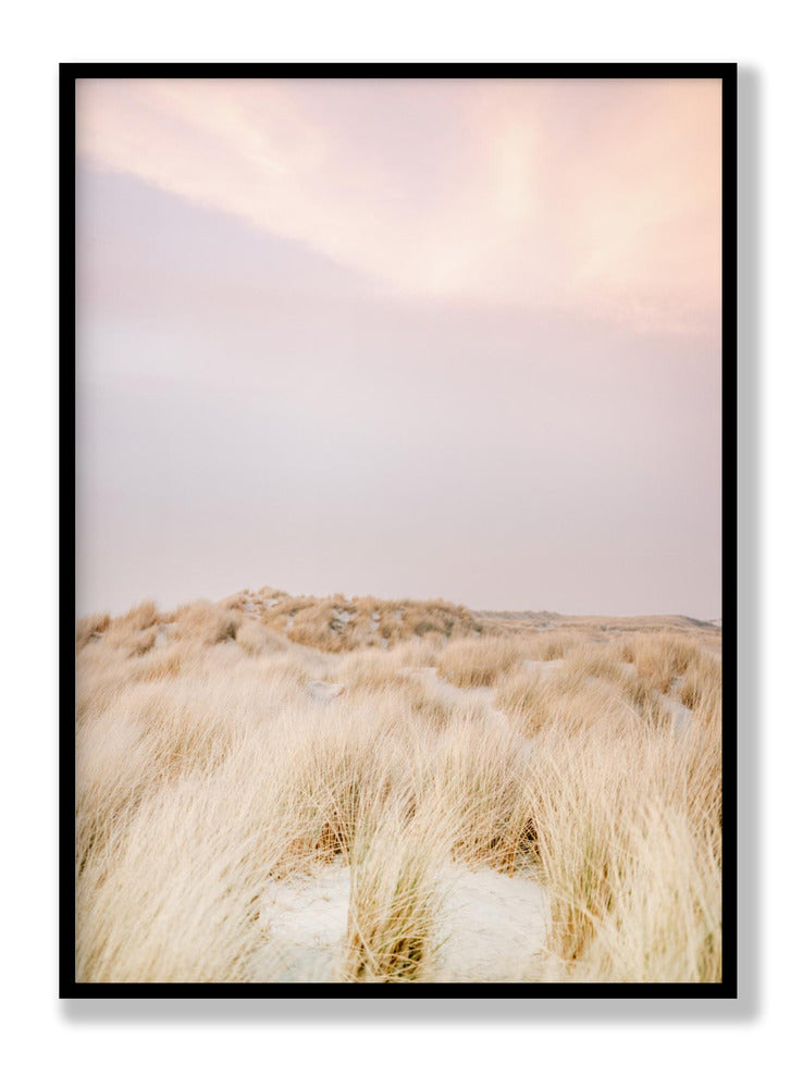 Ameland Dunes 2