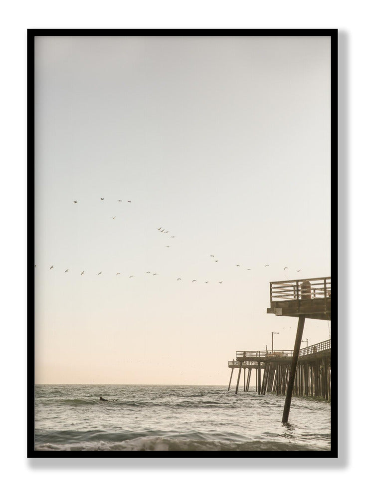 California Surfers