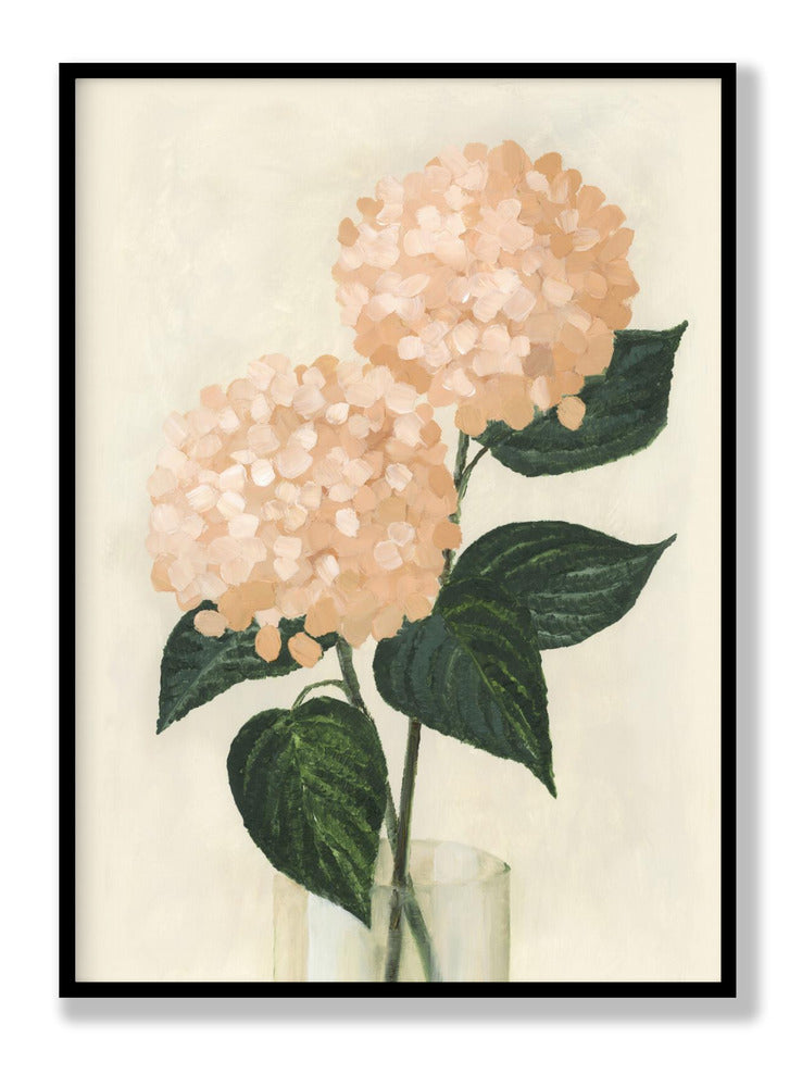 Coral hydrangeas in a vase