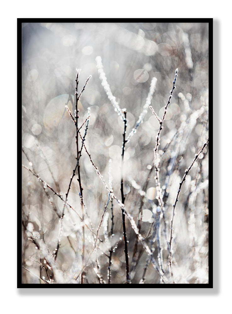 A Winter Morning 4