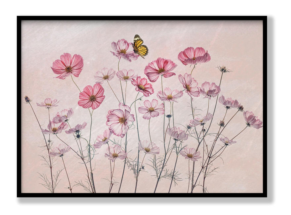 Cosmos and Butterfly